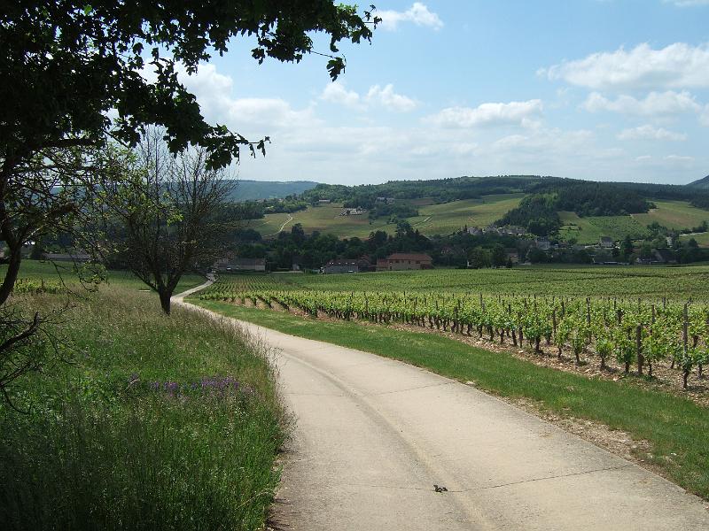 2010-05- (135).JPG - Nach 10 km Wegstrecke ist unser Ziel in Sicht